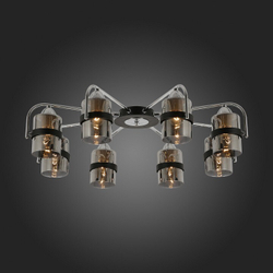 Накладная люстра EVOLUCE SLE102002-08