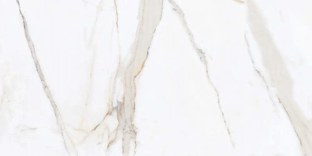 Керамогранит Primavera Regal Carara Polished 60x120 см (PR203)