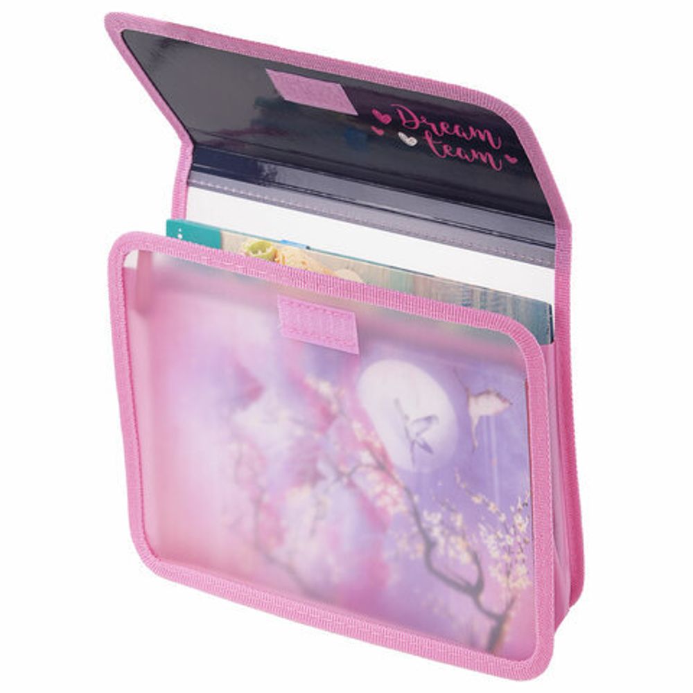 Папка для тетрадей ЮНЛАНДИЯ А5, пластик, 2 отделения, клапан на липучке, "Dream Team", 271490