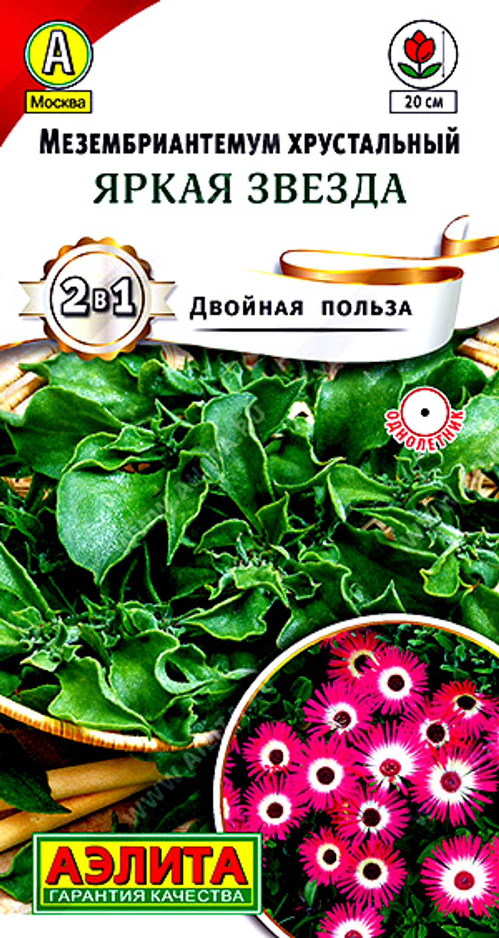 Мезембриантемум Яркая звезда (хрустальная травка)