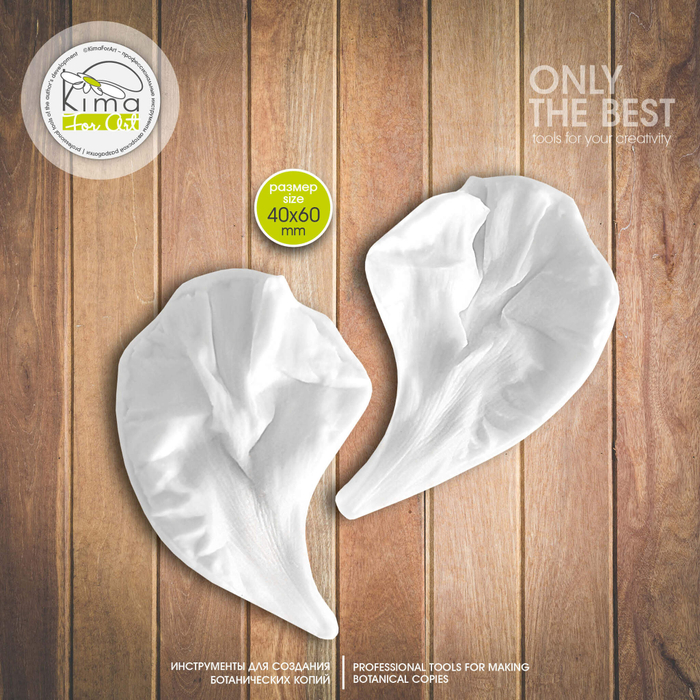 Пион древовидный лепесток рельефный