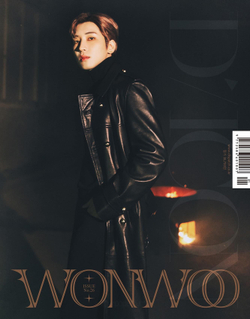 публикация DICON - VOLUME N 26 SEVENTEEN WONWOO B Type