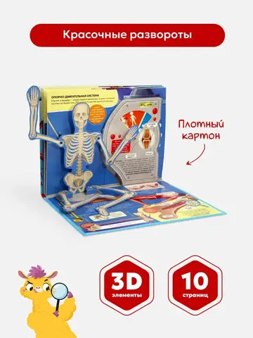 POP UP энциклопедия