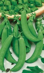 Семена Горох Амброзия 8гр (УД) Е/П