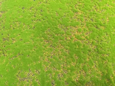 Коврик мха на войлоке 043, 1*1 м