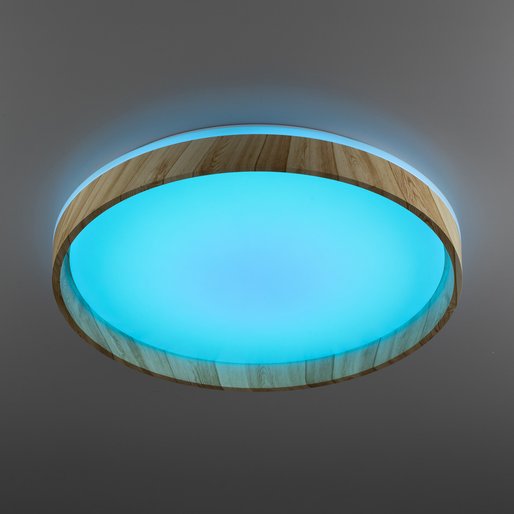 Потолочный светодиодный светильник Citilux ENZO CL753452G