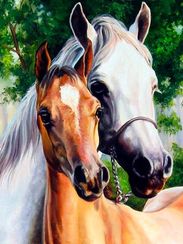 Алмазная мозаика"Две лошади"