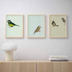 IKEA BILD  (ИКЕА БИЛД)  -  Плакат, Городские птицы I, 30x40 см