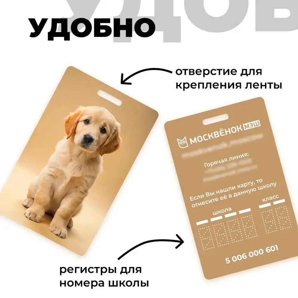 Карта Москвёнок DOGS №10 (проход + питание)