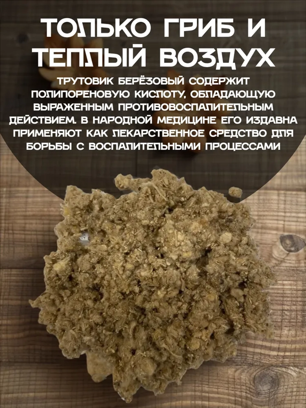 Трутовик березовый (дробленый)