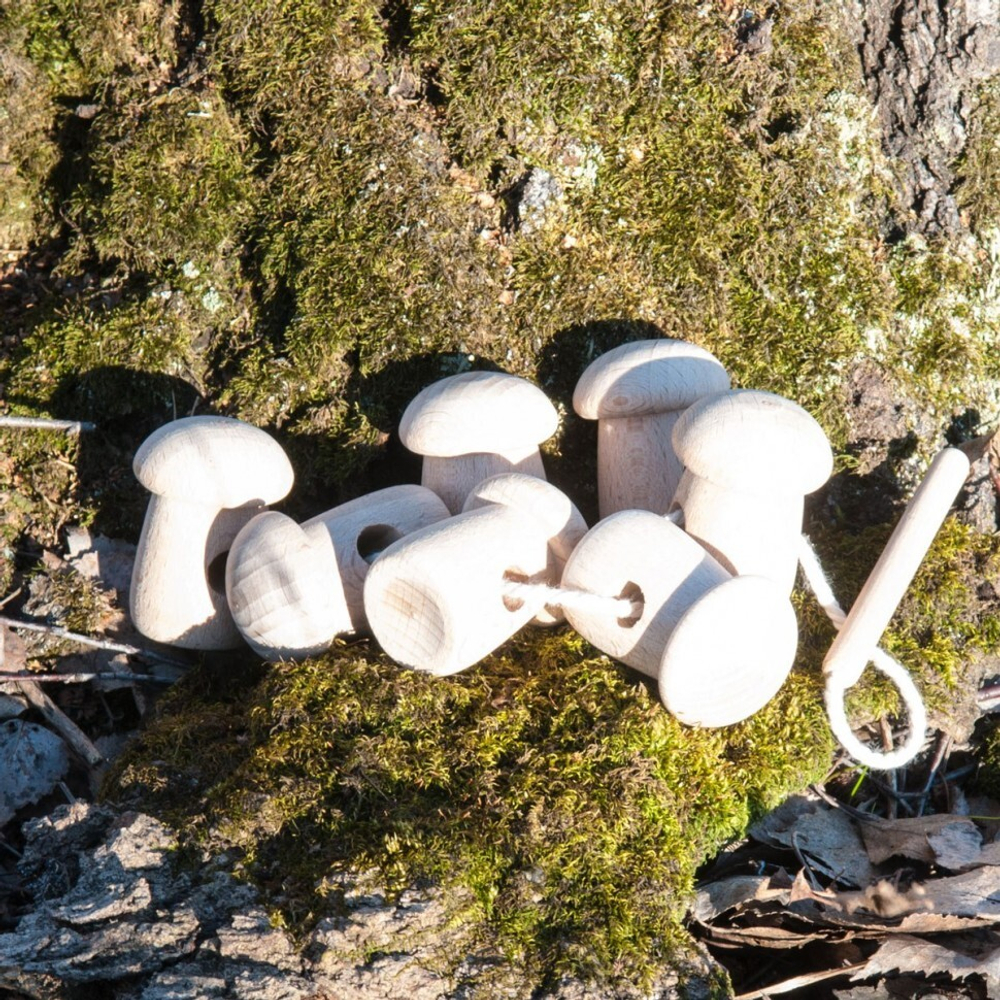 Шнуровка Боровички неокрашенные Леснушки