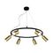 Подвесная люстра Crystal Lux CLT 015C6 D600 BL-GO