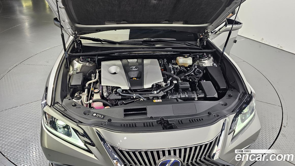 Lexus ES300h 7 Generation Luxury Plus (06.2020)