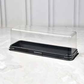 Прямоугольная пластиковая коробочка с черным дном 170х65х56мм