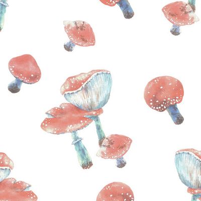 Акварельные мухоморы