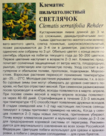 Клематис Светлячок (пильчатолистный) 0,05 г СМЦ-730