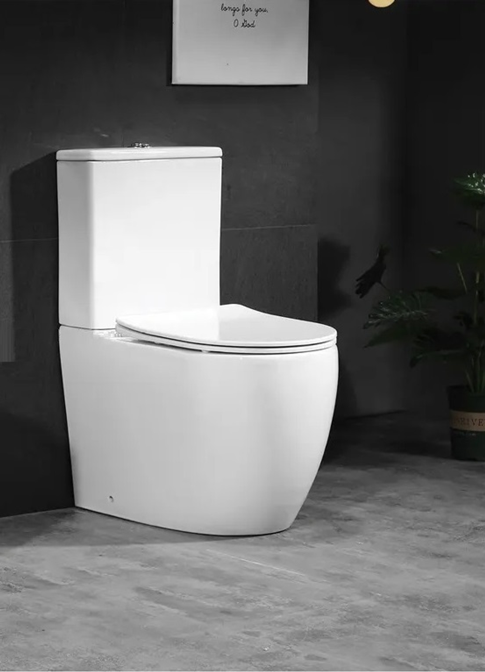 Унитаз ORLTER напольный безободковый Ceruttispa CT9867 (605х370х800)