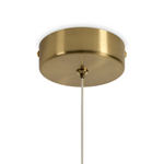 Подвесной светодиодный светильник Freya Mote FR5601PL-01GR