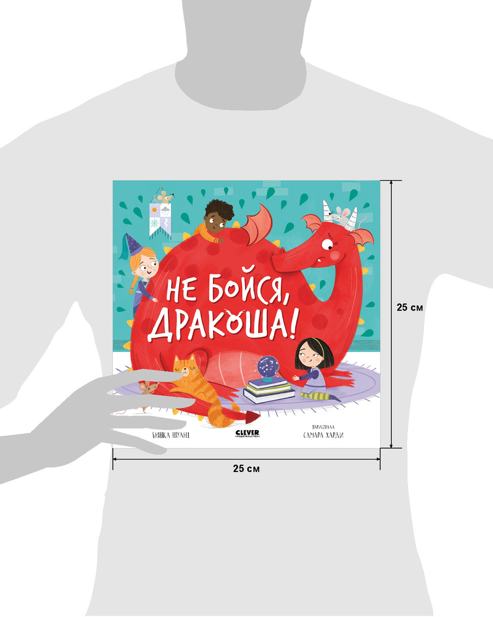 Книжки-картинки (мягкая обложка). Не бойся, Дракоша!