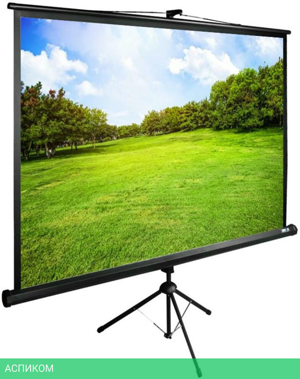 Проекционный экран Cactus TriExpert (CS-PSTE-200X150-BK)