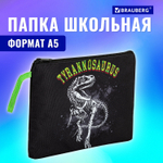 Папка для тетрадей BRAUBERG А5 1 отделение полиэстер на молнии с ручкой "Tyrannosaur" (3 штуки в упаковке)