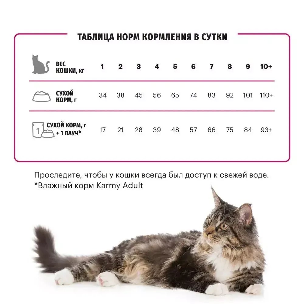 Сухой корм Karmy Adult Cat для взрослых кошек, с курицей