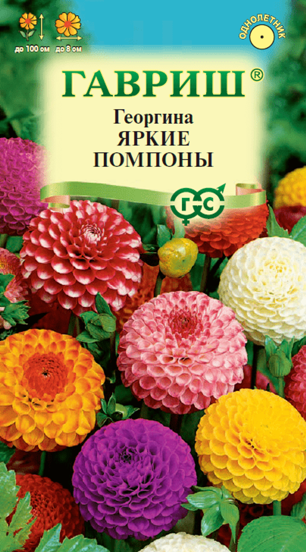 Георгина Яркие Помпоны 0,2г Гавриш