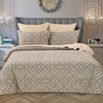 Постельное белье велюр Евроразмер Бертольд 797 Арт Элегант