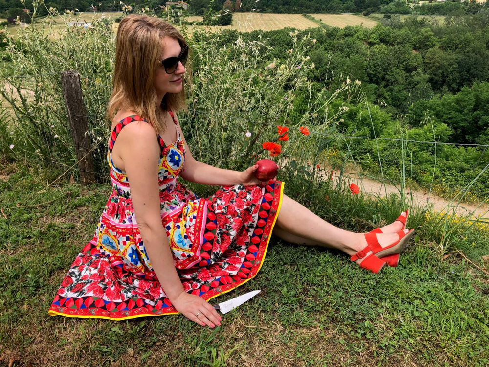 🏆Два Кухонных ножа Alexander M AUS-8 Red G10