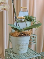 Кашпо для цветов комнатных 29*16 см