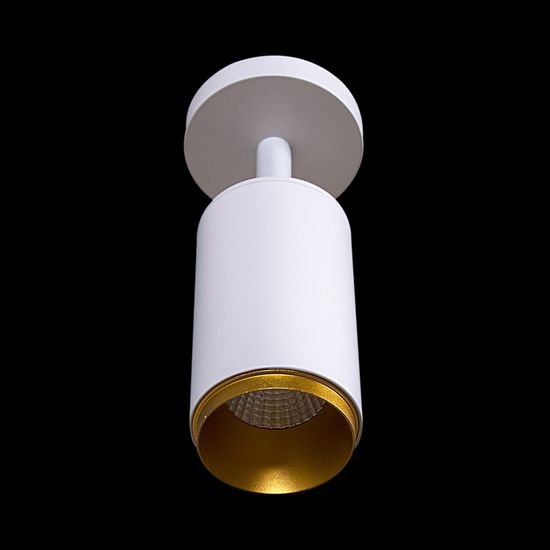 20705-9.5-001RN LED5W  WT+GD светильник точ. поворотный