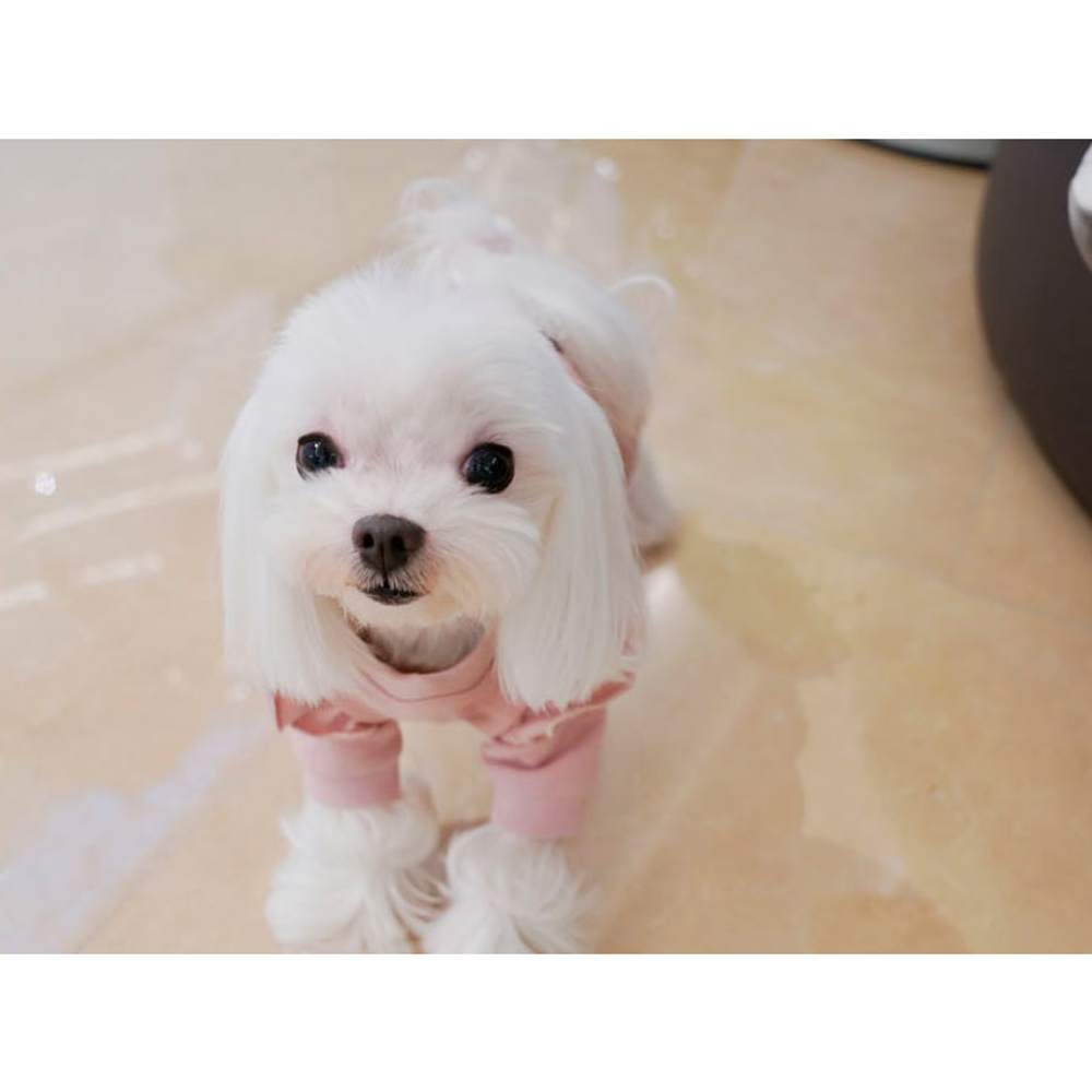 540 Кардиган с оборками "Lovely Puppy Angel"