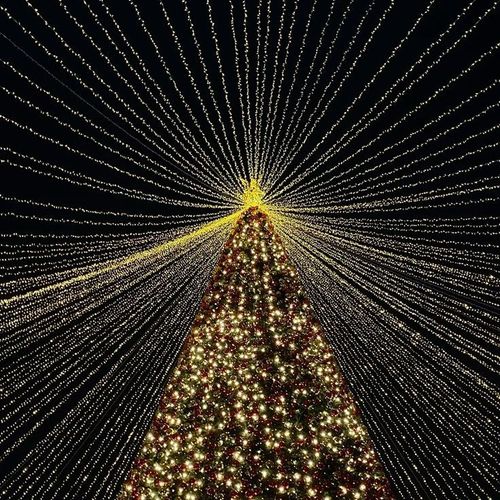 Высотные елки