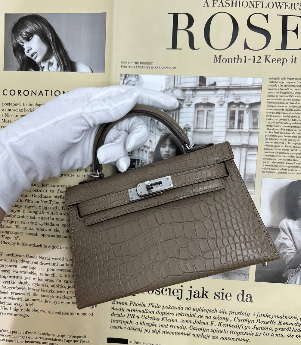 Сумка Hermes из кожи крокодила 20 см