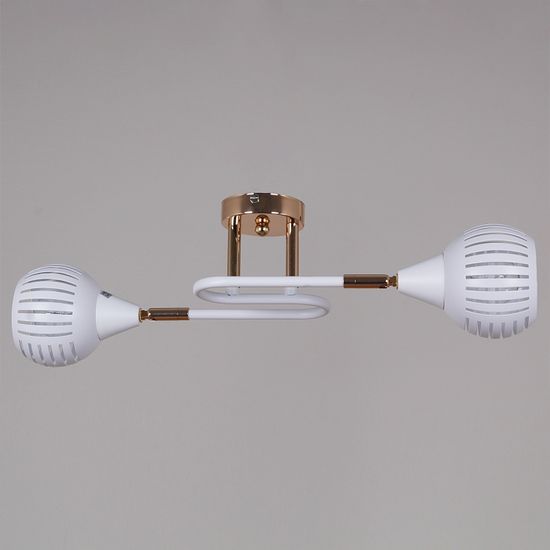 70059-3.3-02 FG+WH светильник потолочный