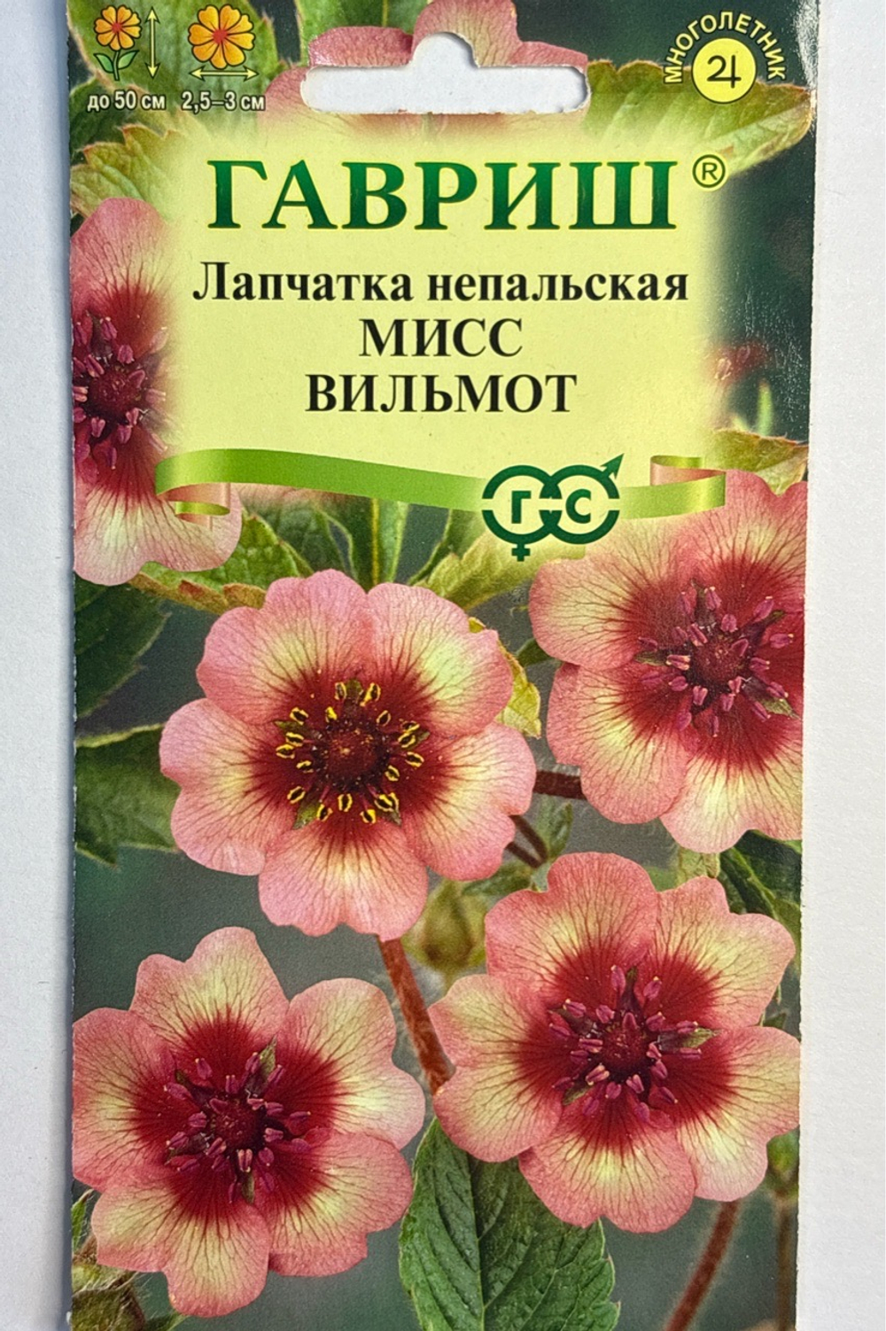 Лапчатка Мисс Виллмонт 0,01 г СМЦ-637