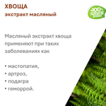 Экстракт хвоща, масляный