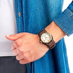 Наручные часы Timex TW2R87900