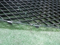 DSCN4273.JPG
