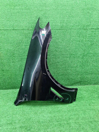 Крыло переднее правое BMW X3 G01 X4 G02 (17-24)