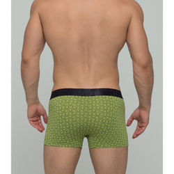 Мужские трусы боксеры зеленые Salvador Dali SD2023-4