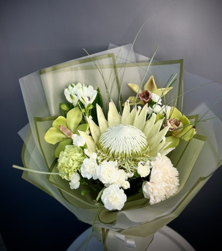 Микс с протеей