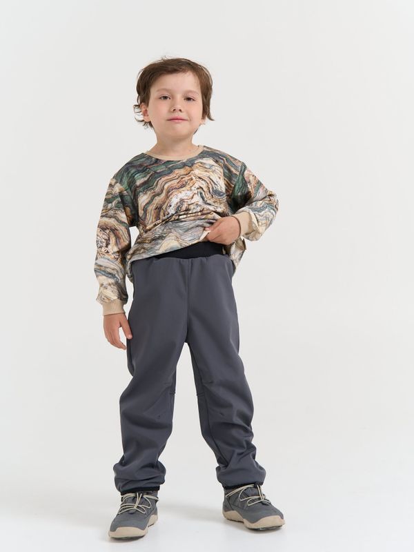 Брюки Softshell демисезонные 