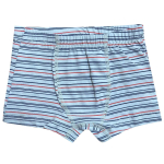 Трусы для мальчиков 13516 32 синий в клет. (ТрансТекс), 1 шт.