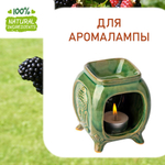 Ежевика, отдушка для свечей и мыла