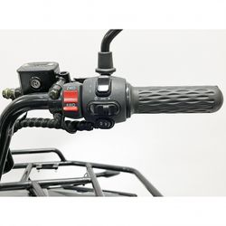 Квадроцикл GreenCamel Сахара A1070 4x4 (10kW 120Ah 70 км/ч) блокировки