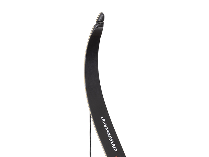 Лук рекурсивный Stinger Delaware, 30 lbs/13,6 кг, длина 56 дюймов, алюминий (SG-BOW-F-30-BLK)
