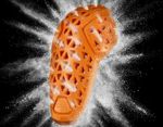 D3O Ghost Shoulder & Hip Impact Protectors / Оранжевый