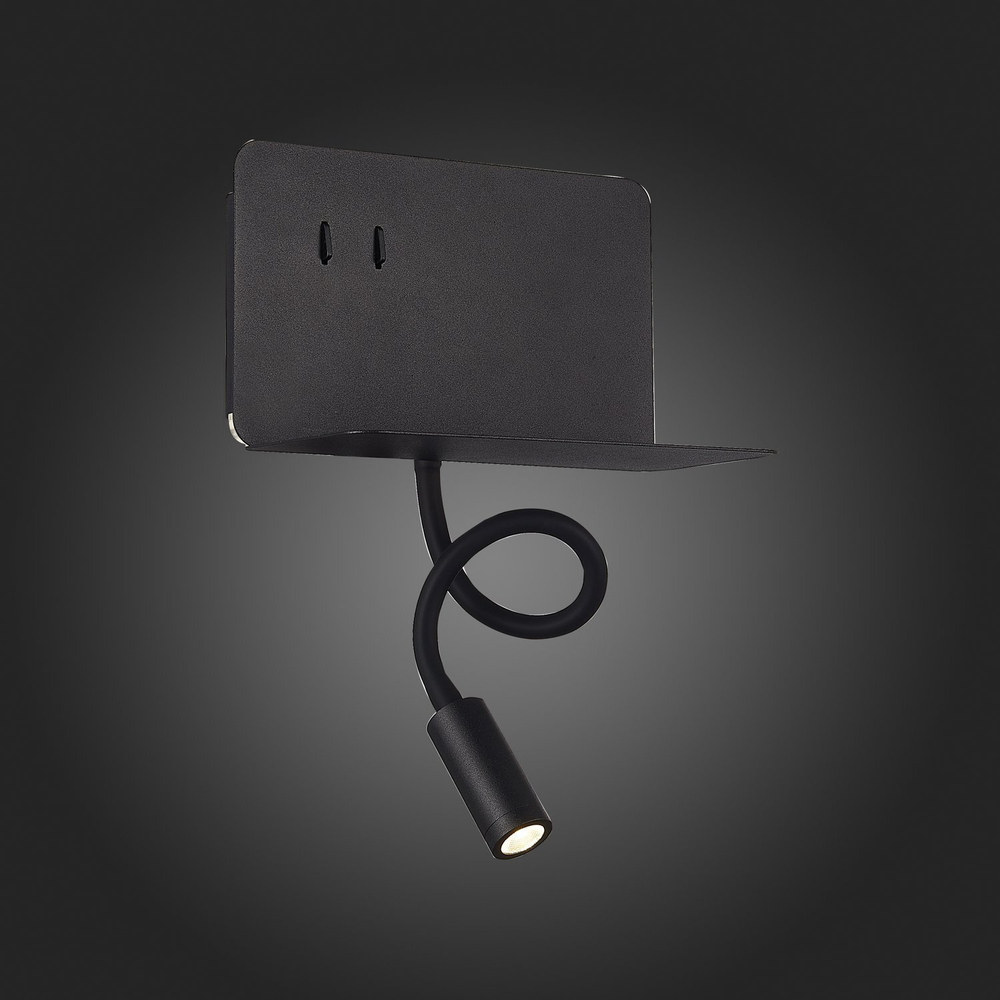 Светильник настенный ST Luce SL1576.401.02