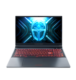 Новый игровой ноутбук Thunderobot R15 i7-13650HX / RTX 4060 8GB / 16GB / 512GB / 2.5K / 165Hz / Win11 / Русско-Английская клавиатура